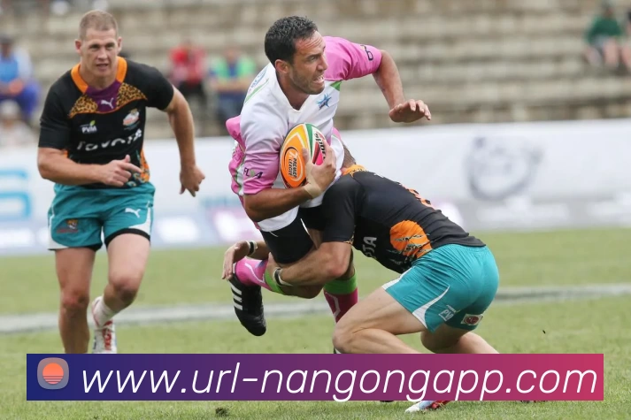 多媒体互动体验